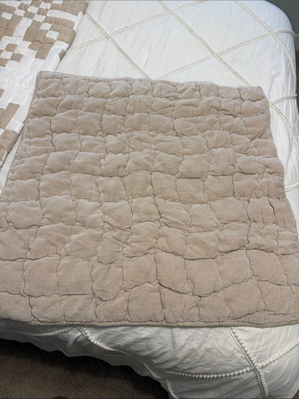 Pottery Barn Pillow Sham